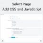Lägg till anpassad CSS och JS från jQuery