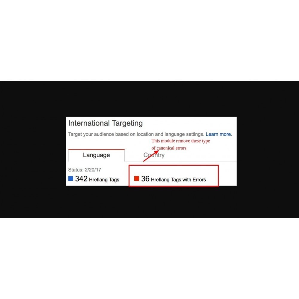 SEO Google Hreflang & Canonical Tags on All Pages SEO Google Hreflang & Canonical Tags on All Pages