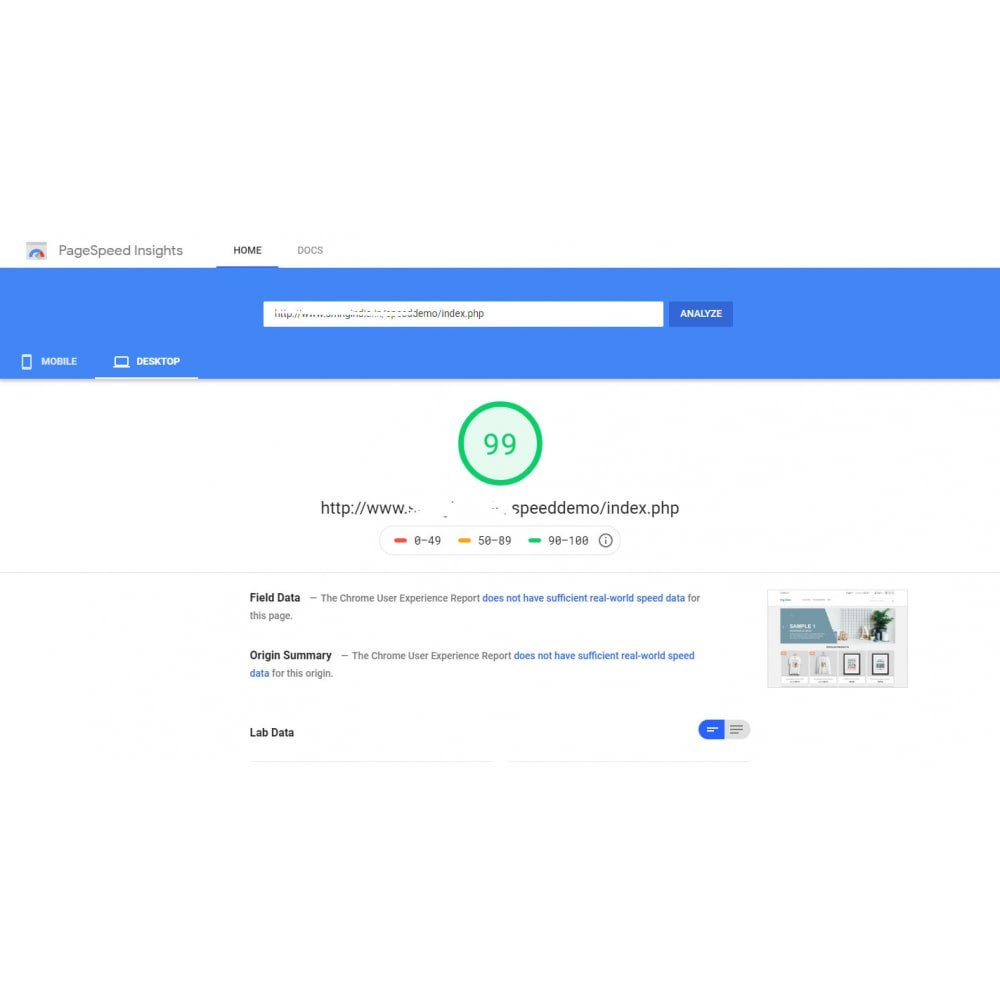 Google PageSpeed Insight score Google PageSpeed Insight score